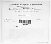 Image Associated With the Occurence